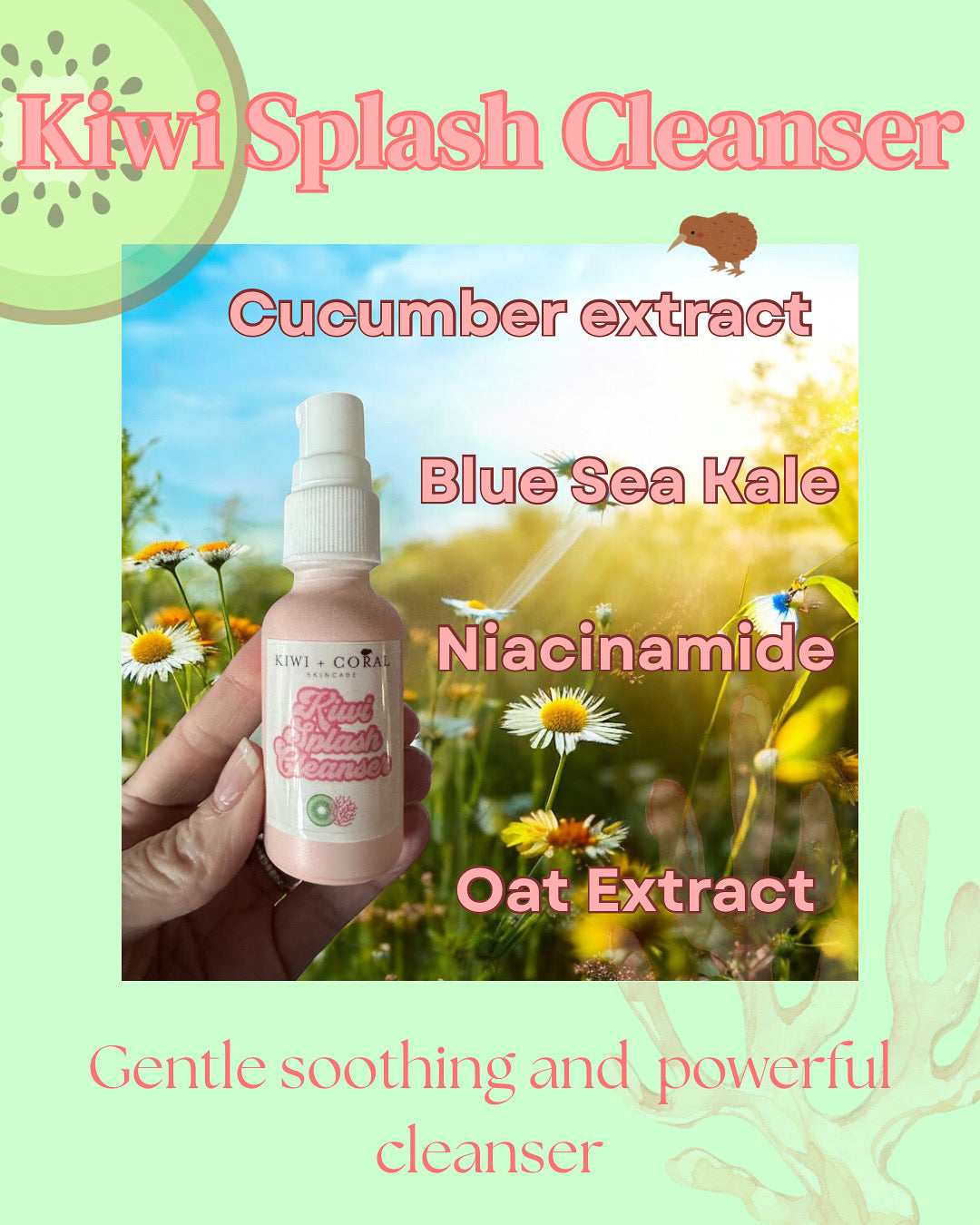 Kiwi & Coral: Clean, Family-Safe, and Eco-Friendly Skincare That Cares