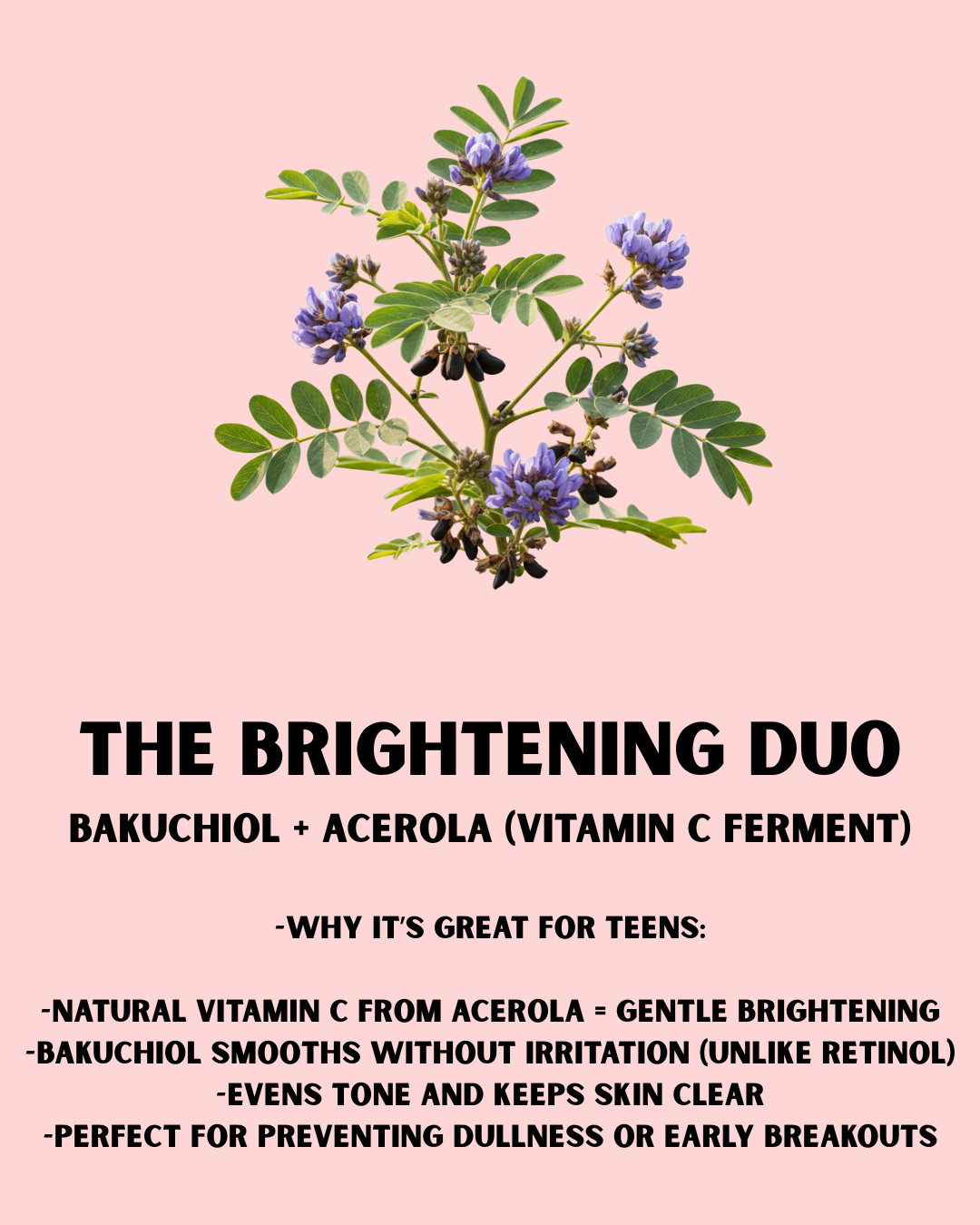 Kiwi & Coral Skincare Sunbeam Serum | Lightweight Glow Serum